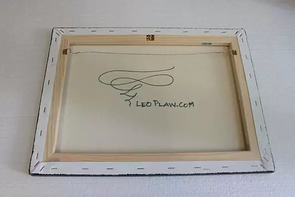 Leo Plaw - Searching for Answers