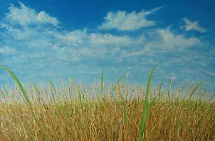   - Looking field Raju