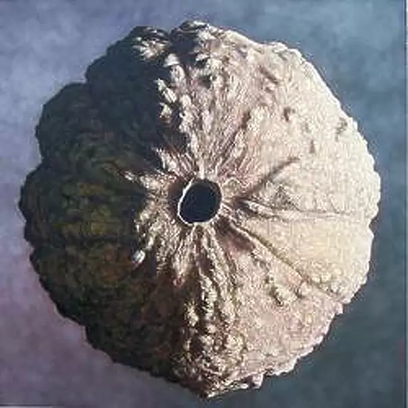 Pelizzari Gregory - Seed Planet