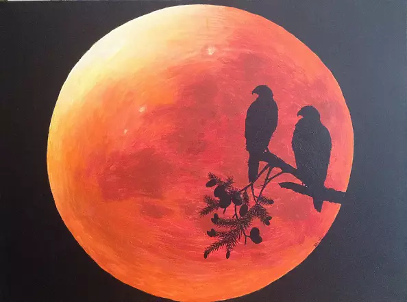 Iwona Lis - Sekrety nocy