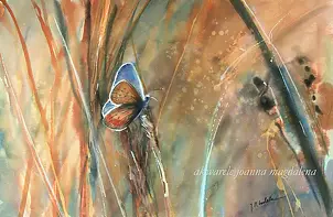 Joanna Magdalena - Semantics