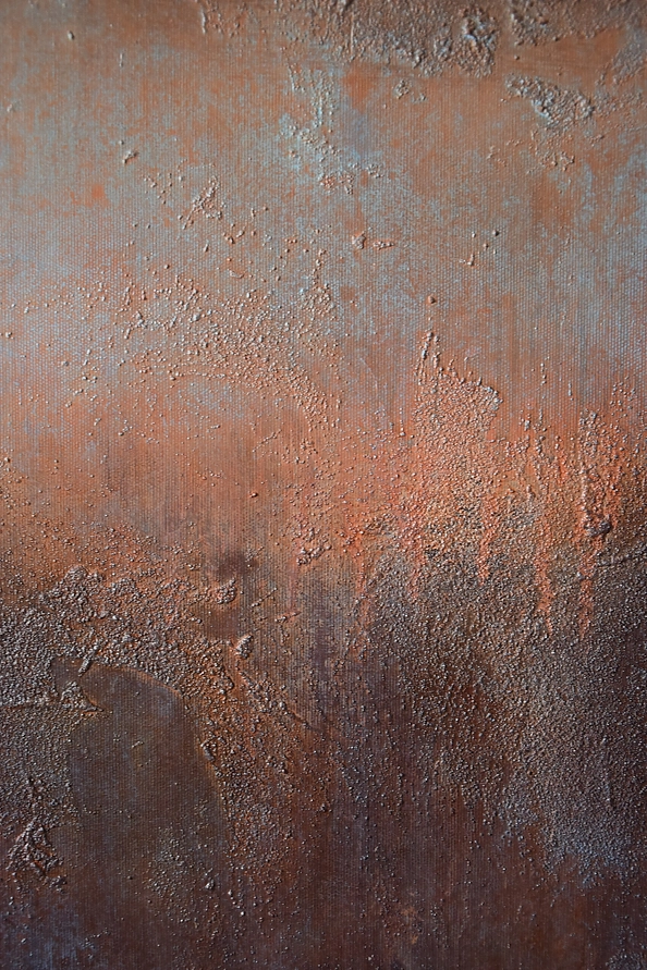 Kamila Ossowska - Serce pustyni