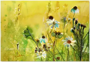 Joanna Magdalena - Cordiality