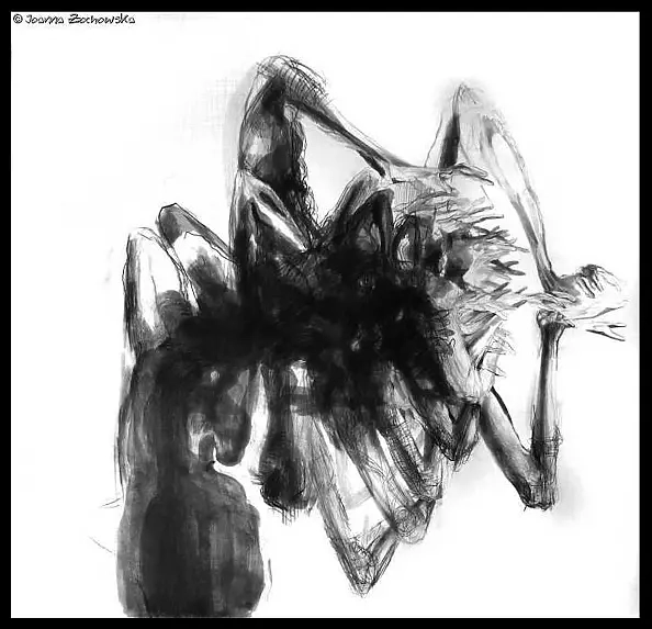 Dr Joanna Żochowska - series Masks