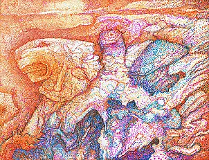 Piotr Zygmunt - Shadow of Wilderness