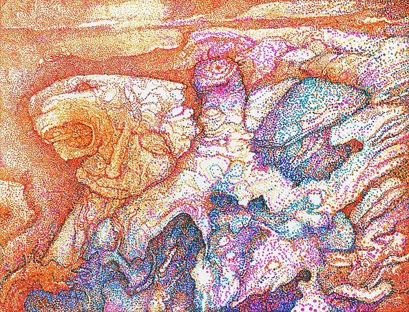 Piotr Zygmunt - Shadow of Wilderness