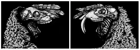 Arkadiusz Twardowski - Shamanizer...