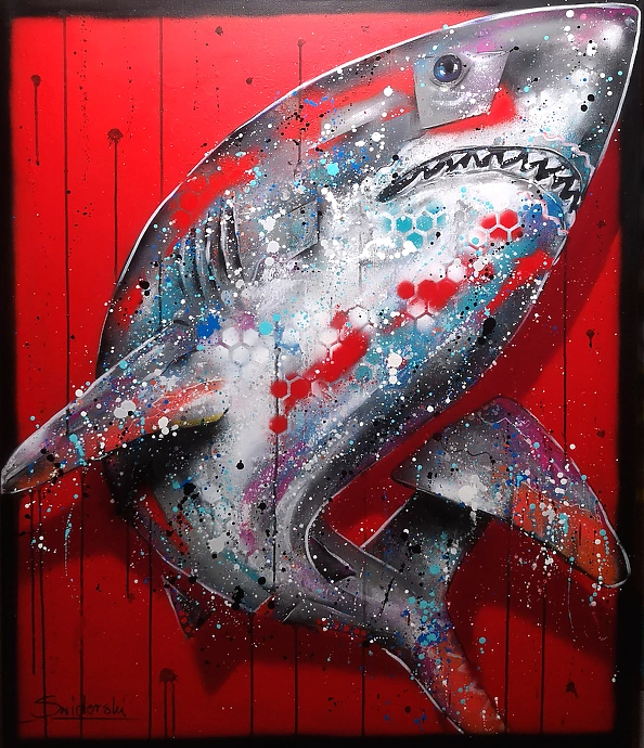 Paweł Świderski - Shark