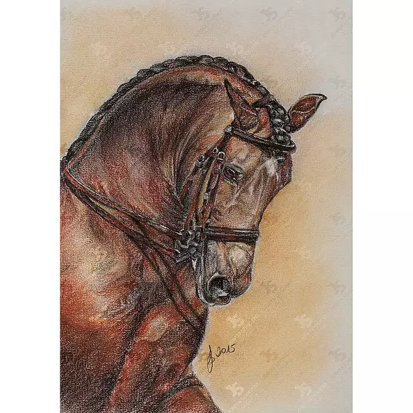 Jowita Szmigiero - Shizzo