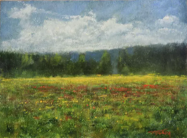 Tadeusz Gazda - haymaking XA