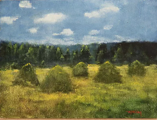 Tadeusz Gazda - haymaking XB