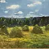 Tadeusz Gazda - haymaking XB