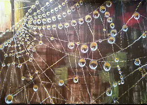 Jowita Agnieszka Kotów - Network