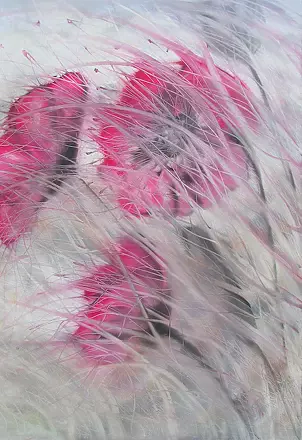 Mariola Świgulska - Siejąc ziarno