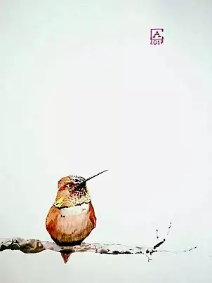 Artur Cieślar - Siesta hummingbird