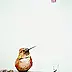 Artur Cieślar - Siesta hummingbird