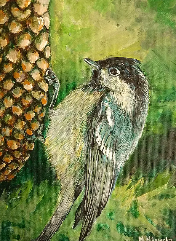 Marta Milewska - Sikora Sosnówka