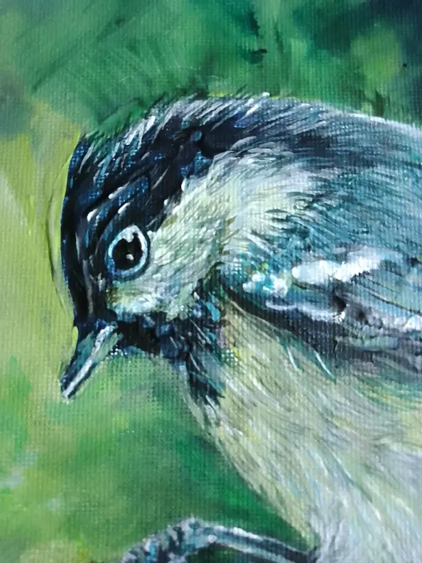 Marta Milewska - Sikora Sosnówka