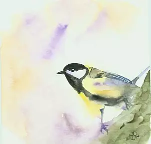 Zdzisław Rutkowski - Sikora bogatka II