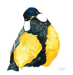 Karolina Kijak - Sikora bogatka