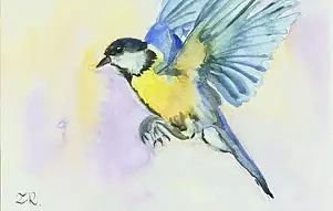 Zdzisław Rutkowski - Sikorka bogatka