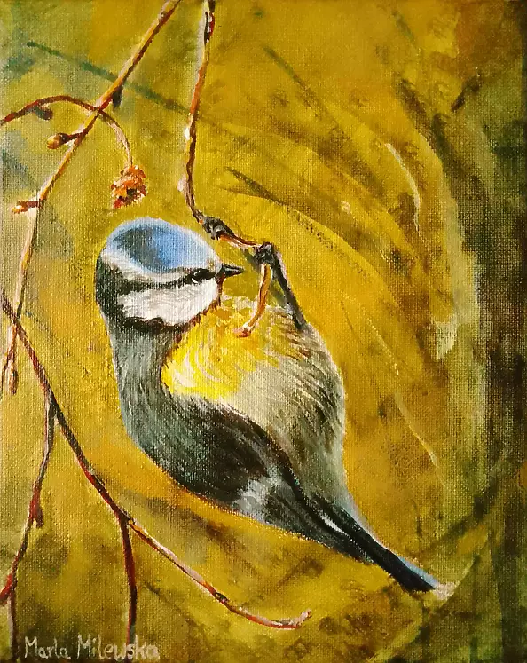 Marta Milewska - titmouse