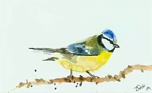 Zdzisław Rutkowski - Sikorka modra II