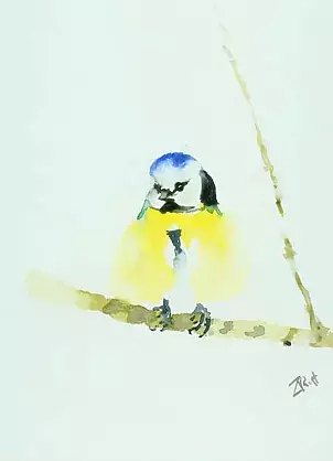 Zdzisław Rutkowski - Sikorka modra