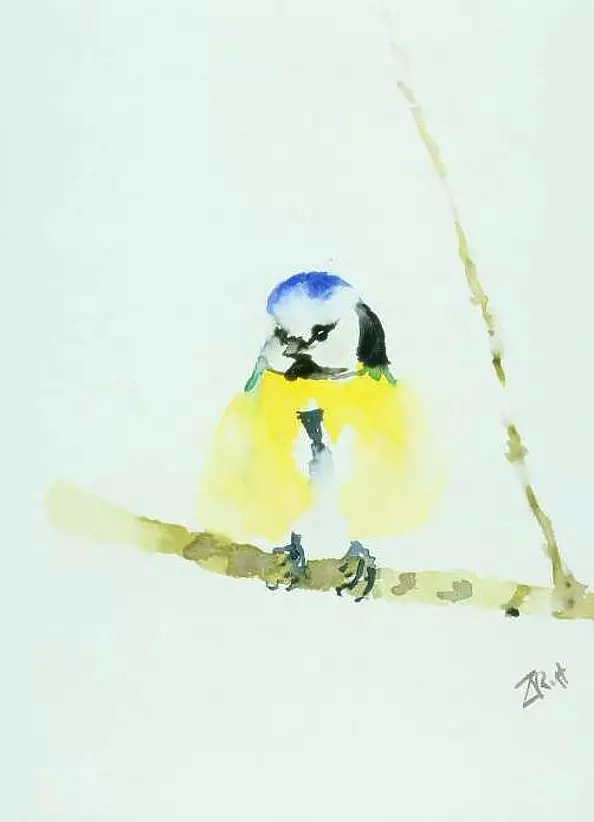 Zdzisław Rutkowski - Sikorka modra