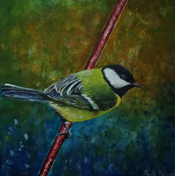Marta Milewska - A titmouse on a twig