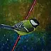 Marta Milewska - A titmouse on a twig