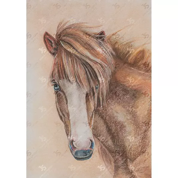 Jowita Szmigiero - Single