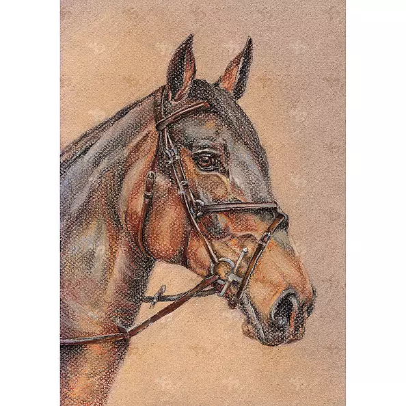 Jowita Szmigiero - Siroco