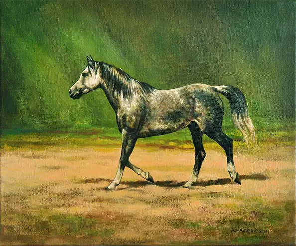 Andrzej Hamera - Grizzle