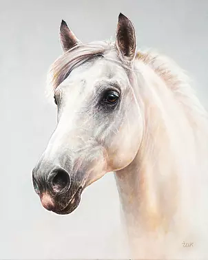 Marzena Zuk - Grizzle