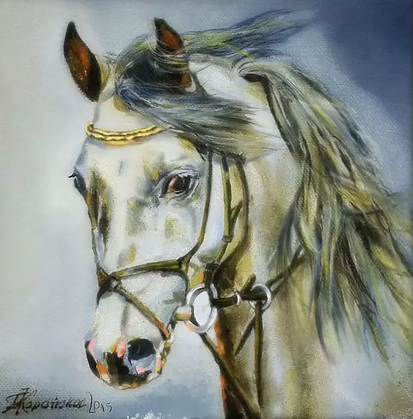 Teresa Kopańska - Grizzle