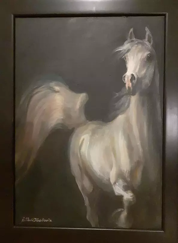 Agnieszka Słowik Kwiatkowska - Arabian gray horse