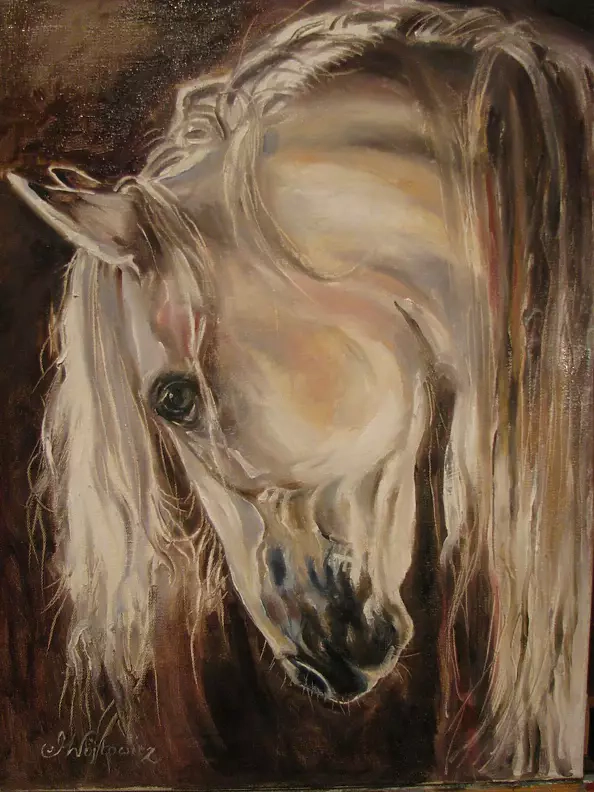 Małgorzata Wójtowicz Cichoń - Siwy ogier