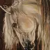 Małgorzata Wójtowicz Cichoń - gray stallion