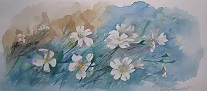 Dorota Kędzierska - rock