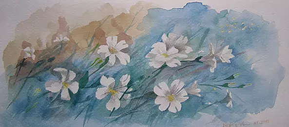 Dorota Kędzierska - Skalne