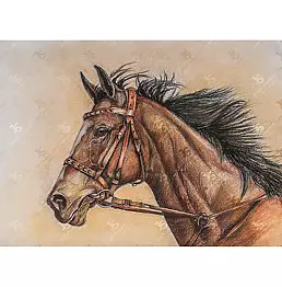 Jowita Szmigiero - Skizzle