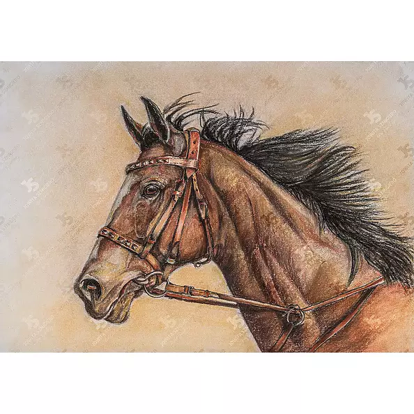 Jowita Szmigiero - Skizzle