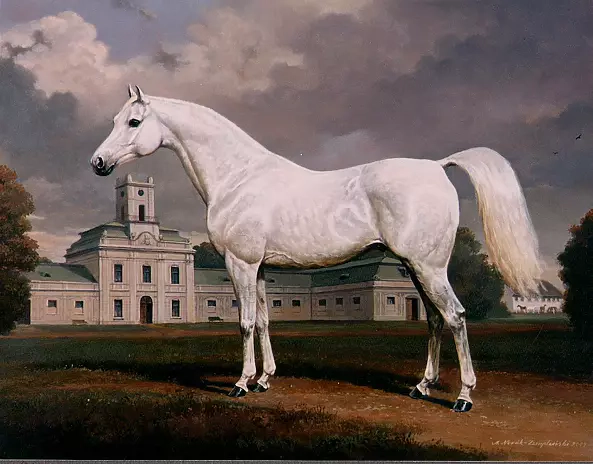 Andrzej Novak-Zemplinski - Skowronek in Antoniny