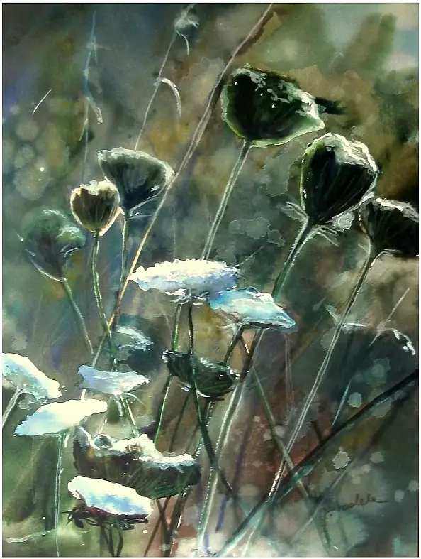 Joanna Magdalena - Skrytość