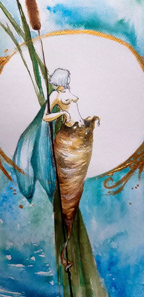 Adriana Laube - "Skrzydła jeszcze mokre"