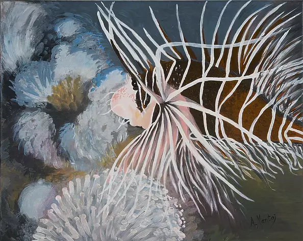 Agnieszka Mantaj - lionfish
