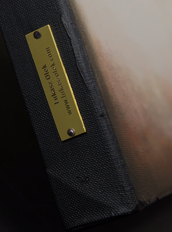 Łukasz Olek - Skyfall