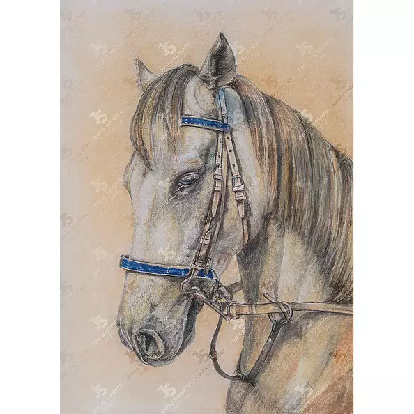 Jowita Szmigiero - Sleepy Horse