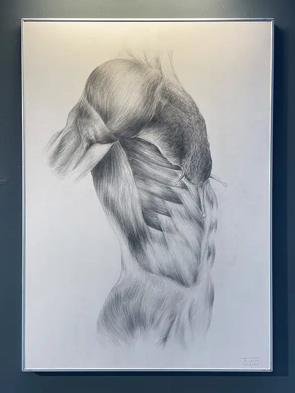 Wiesław Teofilak, Snail Torso, Other, Pencil - cardboard/paperboard, 70 x 100